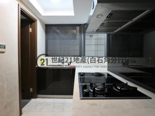溋玥天賦海灣 15座 低層 - 世紀21白石角分行 - 大埔區物業代理的權威百科 專營豪宅買賣