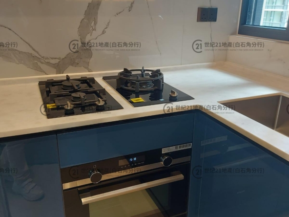 UNIVERSITY HILL 2A 漾景閣2座 A6室 - 世紀21白石角分行 - 大埔區物業代理的權威百科 專營豪宅買賣