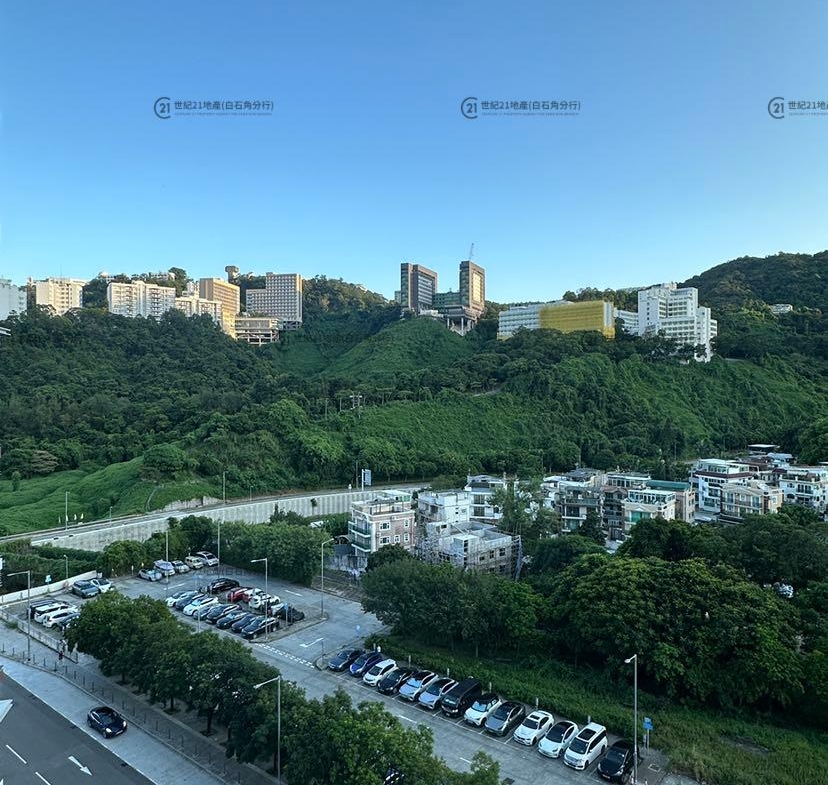SILICON HILL 翠景閣3座 A3室 - 世紀21白石角分行 - 大埔區物業代理的權威百科 專營豪宅買賣