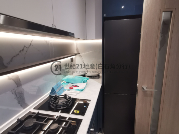 SILICON HILL 翠景閣5座 A6室 - 世紀21白石角分行 - 大埔區物業代理的權威百科 專營豪宅買賣