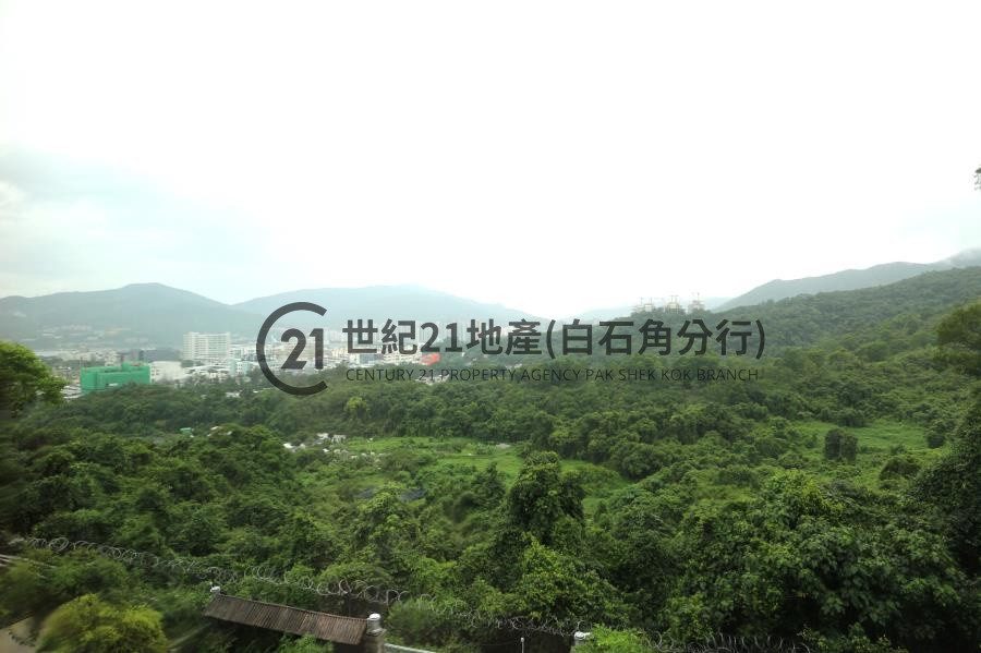 淺月灣 2期 洋房34 低層 - 世紀21白石角分行 - 大埔區物業代理的權威百科 專營豪宅買賣