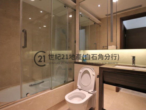 溋玥天賦海灣 15座 低層 - 世紀21白石角分行 - 大埔區物業代理的權威百科 專營豪宅買賣