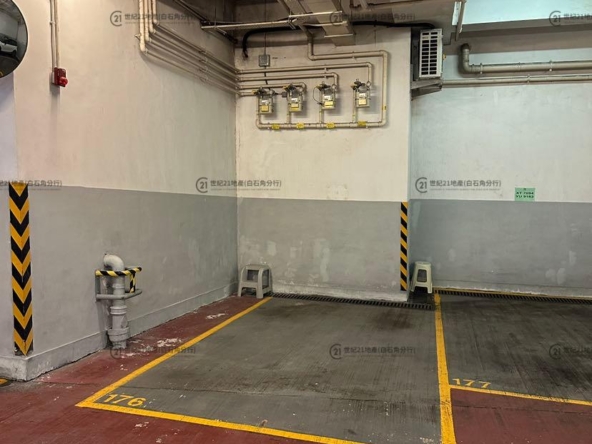 龍成堡 洋房108B 低層 - 世紀21白石角分行 - 大埔區物業代理的權威百科 專營豪宅買賣