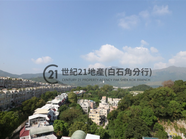 比華利山別墅 1期 溫莎道 全幢 - 世紀21白石角分行 - 大埔區物業代理的權威百科 專營豪宅買賣