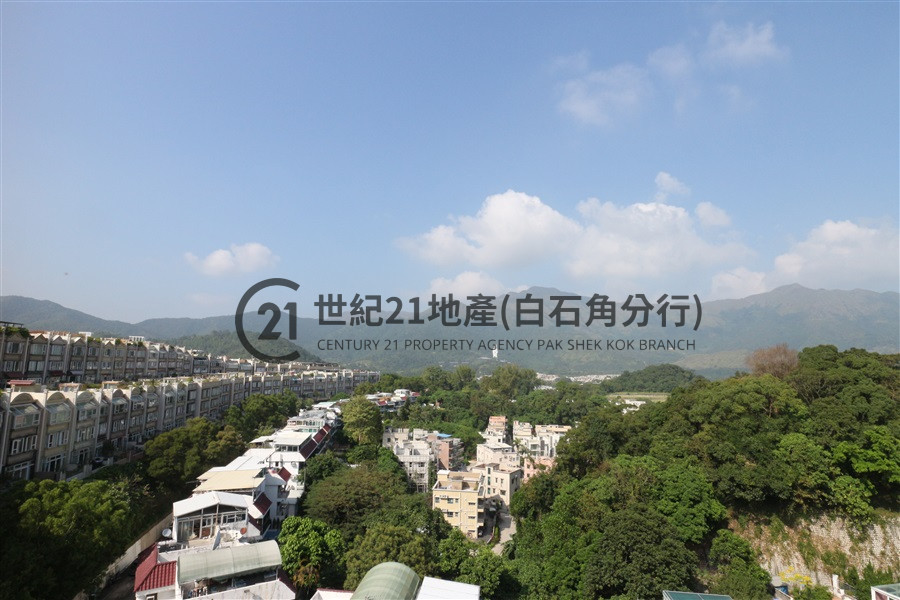 比華利山別墅 1期 溫莎道 全幢 - 世紀21白石角分行 - 大埔區物業代理的權威百科 專營豪宅買賣