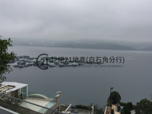 比華利山別墅 3期(富匯半島) 愛琴道 全幢 - 世紀21白石角分行 - 大埔區物業代理的權威百科 專營豪宅買賣