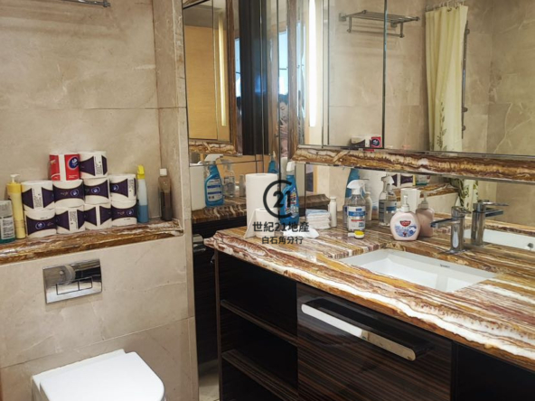 溋玥天賦海灣 11座 中層 - 世紀21白石角分行 - 大埔區物業代理的權威百科 專營豪宅買賣