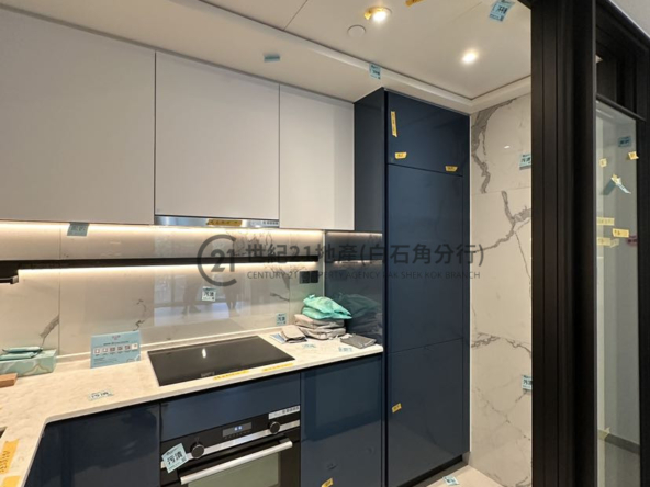 SILICON HILL 翠景閣5座 A2室 - 世紀21白石角分行 - 大埔區物業代理的權威百科 專營豪宅買賣