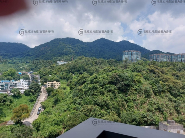 UNIVERSITY HILL 2A 漾景閣2座 A6室 - 世紀21白石角分行 - 大埔區物業代理的權威百科 專營豪宅買賣
