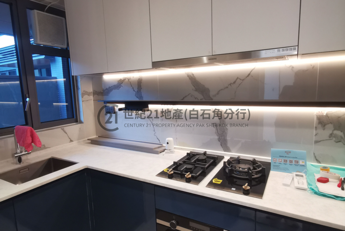 SILICON HILL 翠景閣5座 A6室 - 世紀21白石角分行 - 大埔區物業代理的權威百科 專營豪宅買賣