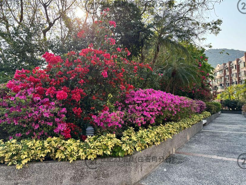 翡翠花園 46座 低層 - 世紀21白石角分行 - 大埔區物業代理的權威百科 專營豪宅買賣