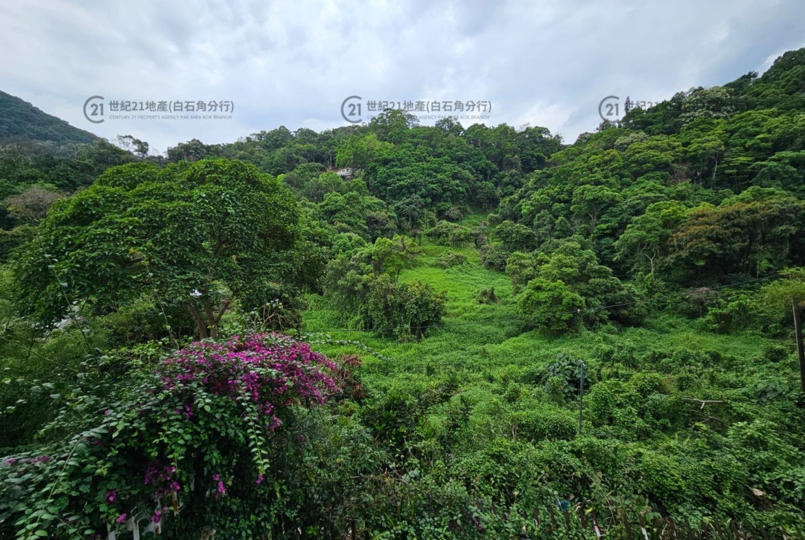 翡翠花園 49座 低層 - 世紀21白石角分行 - 大埔區物業代理的權威百科 專營豪宅買賣
