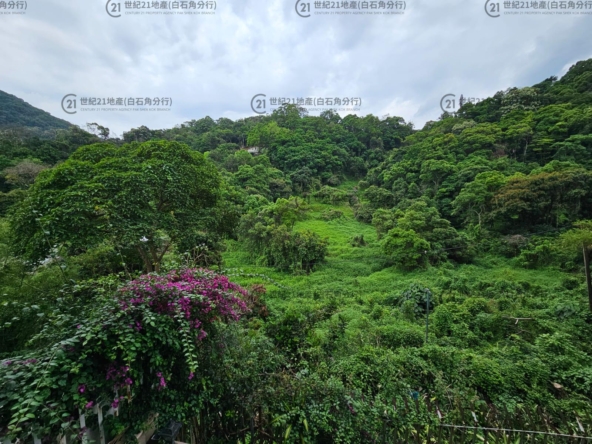 翡翠花園 49座 低層 - 世紀21白石角分行 - 大埔區物業代理的權威百科 專營豪宅買賣