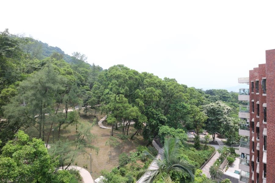 翡翠花園 46座 高層 - 世紀21白石角分行 - 大埔區物業代理的權威百科 專營豪宅買賣