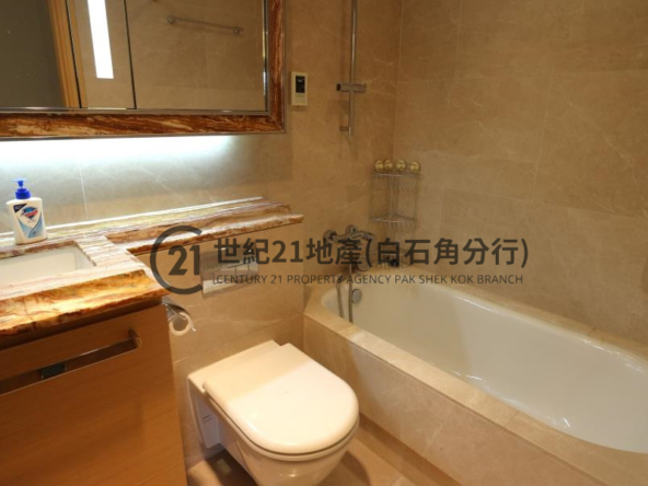 溋玥天賦海灣 08座 低層 - 世紀21白石角分行 - 大埔區物業代理的權威百科 專營豪宅買賣