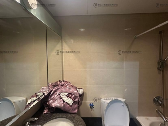 龍成堡 洋房108B 低層 - 世紀21白石角分行 - 大埔區物業代理的權威百科 專營豪宅買賣