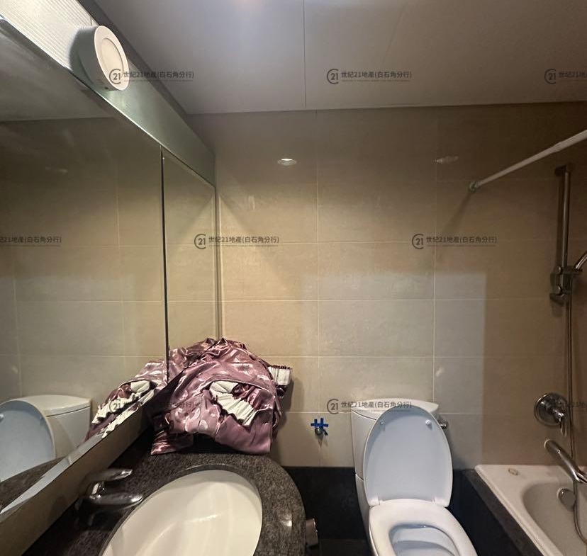 龍成堡 洋房108B 低層 - 世紀21白石角分行 - 大埔區物業代理的權威百科 專營豪宅買賣