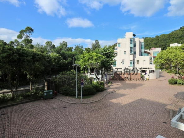 龍成堡 洋房30B 低層 - 世紀21白石角分行 - 大埔區物業代理的權威百科 專營豪宅買賣