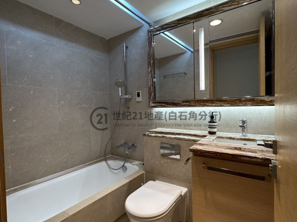 溋玥天賦海灣 08座 低層 - 世紀21白石角分行 - 大埔區物業代理的權威百科 專營豪宅買賣