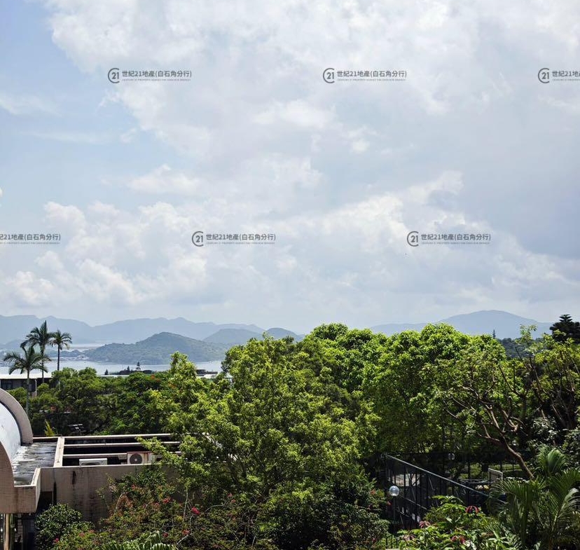 翡翠花園 46座 低層 - 世紀21白石角分行 - 大埔區物業代理的權威百科 專營豪宅買賣