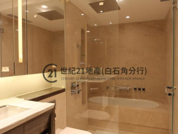 溋玥天賦海灣 05座 低層 D室 - 世紀21白石角分行 - 大埔區物業代理的權威百科 專營豪宅買賣