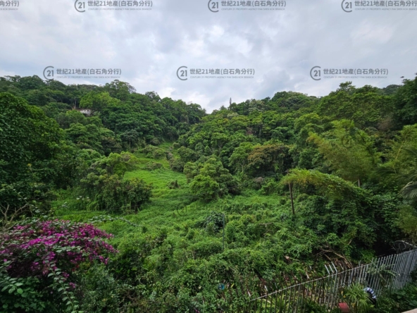 翡翠花園 49座 低層 - 世紀21白石角分行 - 大埔區物業代理的權威百科 專營豪宅買賣