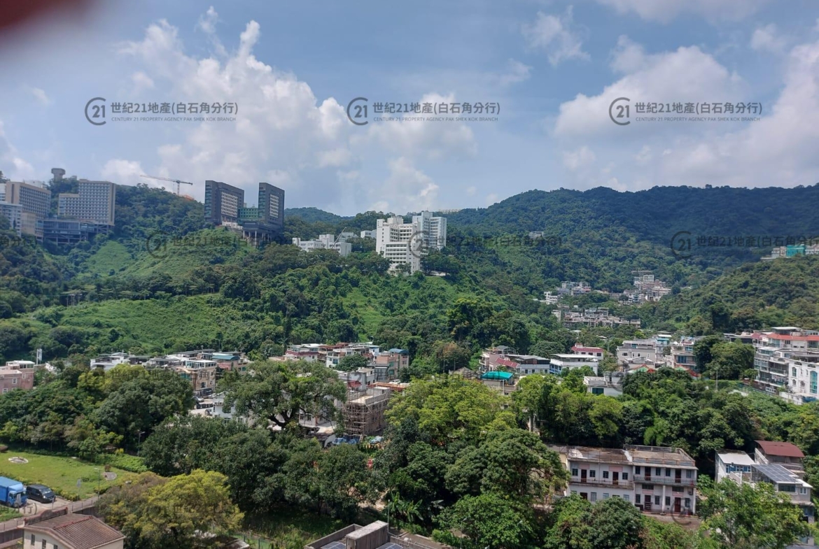 UNIVERSITY HILL 2A 漾景閣2座 A6室 - 世紀21白石角分行 - 大埔區物業代理的權威百科 專營豪宅買賣