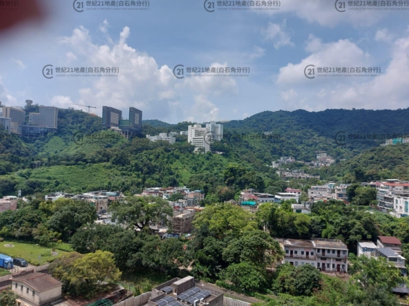 UNIVERSITY HILL 2A 漾景閣2座 A6室 - 世紀21白石角分行 - 大埔區物業代理的權威百科 專營豪宅買賣