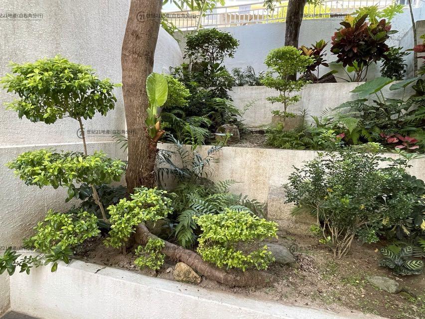 雅景花園 全幢 - 世紀21白石角分行 - 大埔區物業代理的權威百科 專營豪宅買賣