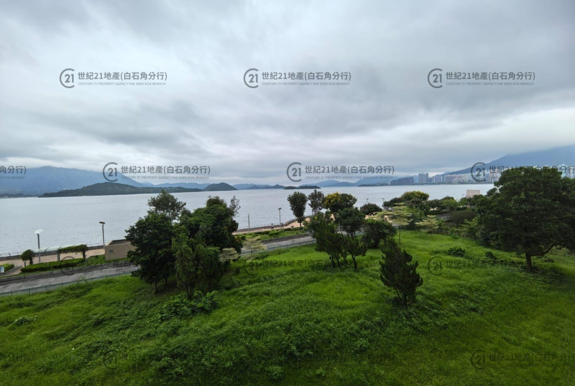 海鑽天賦海灣 03座 低層 - 世紀21白石角分行 - 大埔區物業代理的權威百科 專營豪宅買賣