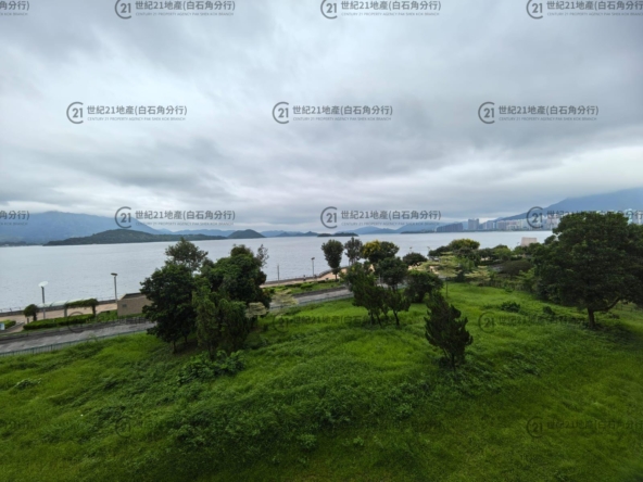 海鑽天賦海灣 03座 低層 - 世紀21白石角分行 - 大埔區物業代理的權威百科 專營豪宅買賣