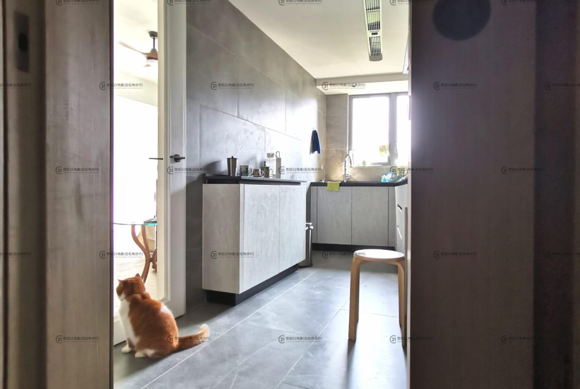 朗濤 低層 - 世紀21白石角分行 - 大埔區物業代理的權威百科 專營豪宅買賣