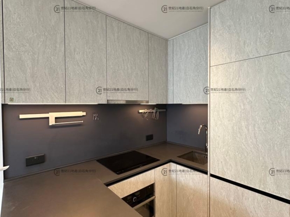 朗濤 8B座 高層 - 世紀21白石角分行 - 大埔區物業代理的權威百科 專營豪宅買賣