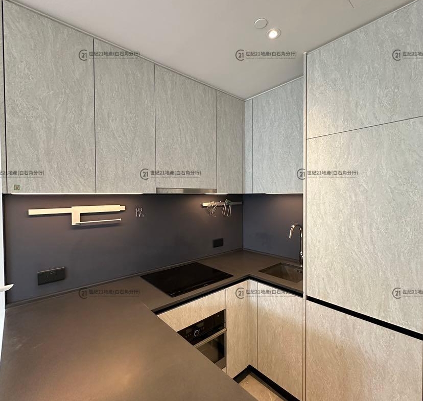 朗濤 8B座 高層 - 世紀21白石角分行 - 大埔區物業代理的權威百科 專營豪宅買賣