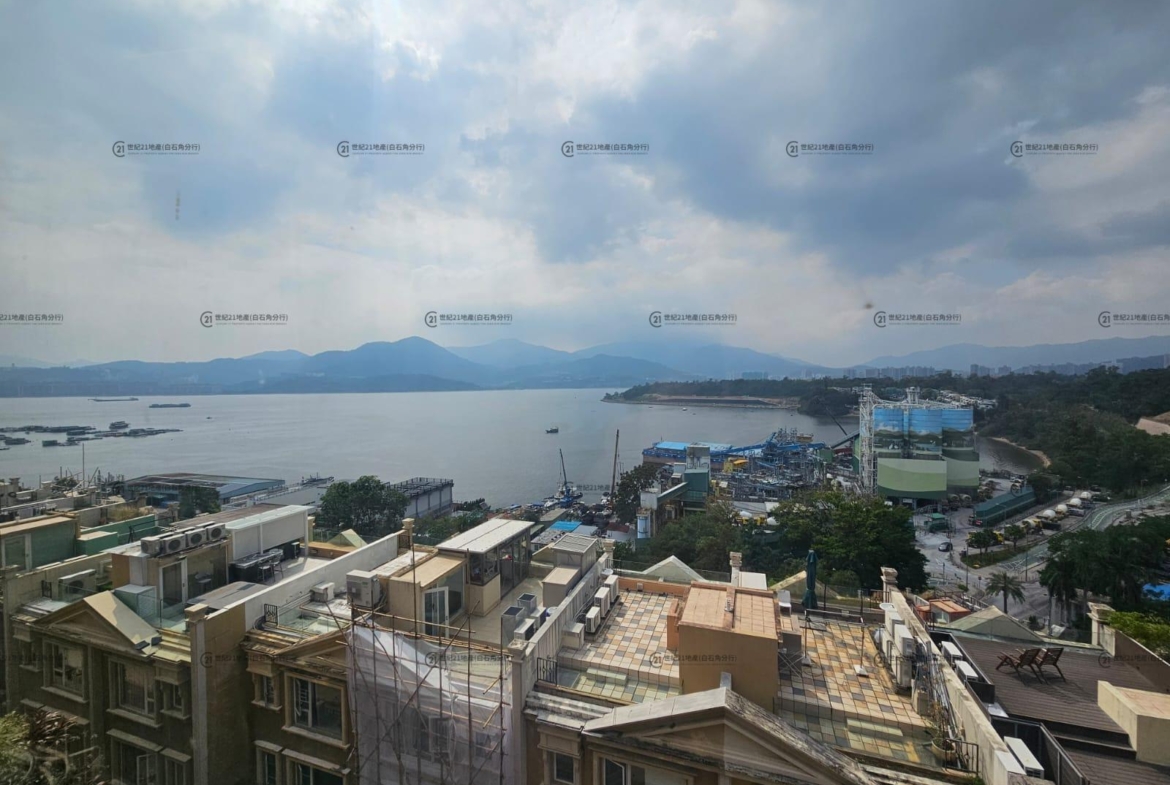 比華利山別墅 1期 湖景道 全幢 - 世紀21白石角分行 - 大埔區物業代理的權威百科 專營豪宅買賣