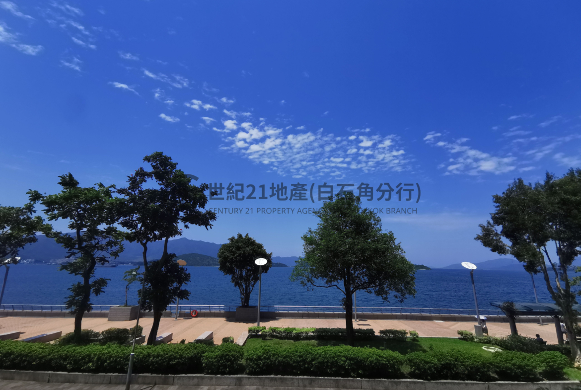 逸瓏灣I 03座 低層 - 世紀21白石角分行 - 大埔區物業代理的權威百科 專營豪宅買賣