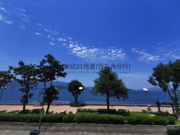 逸瓏灣I 03座 低層 - 世紀21白石角分行 - 大埔區物業代理的權威百科 專營豪宅買賣