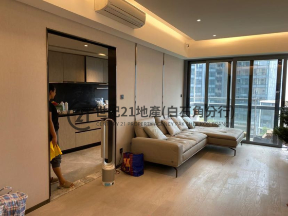 朗濤 低層 - 世紀21白石角分行 - 大埔區物業代理的權威百科 專營豪宅買賣