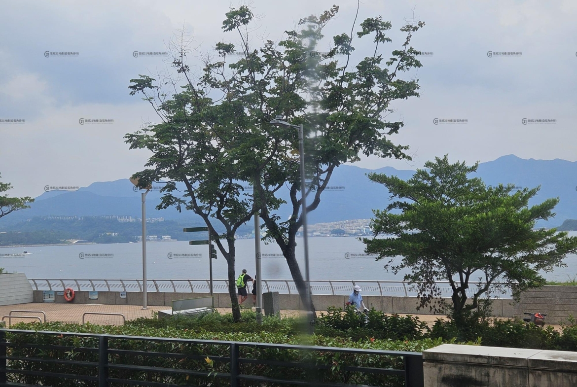 天賦海灣 07座 低層 - 世紀21白石角分行 - 大埔區物業代理的權威百科 專營豪宅買賣