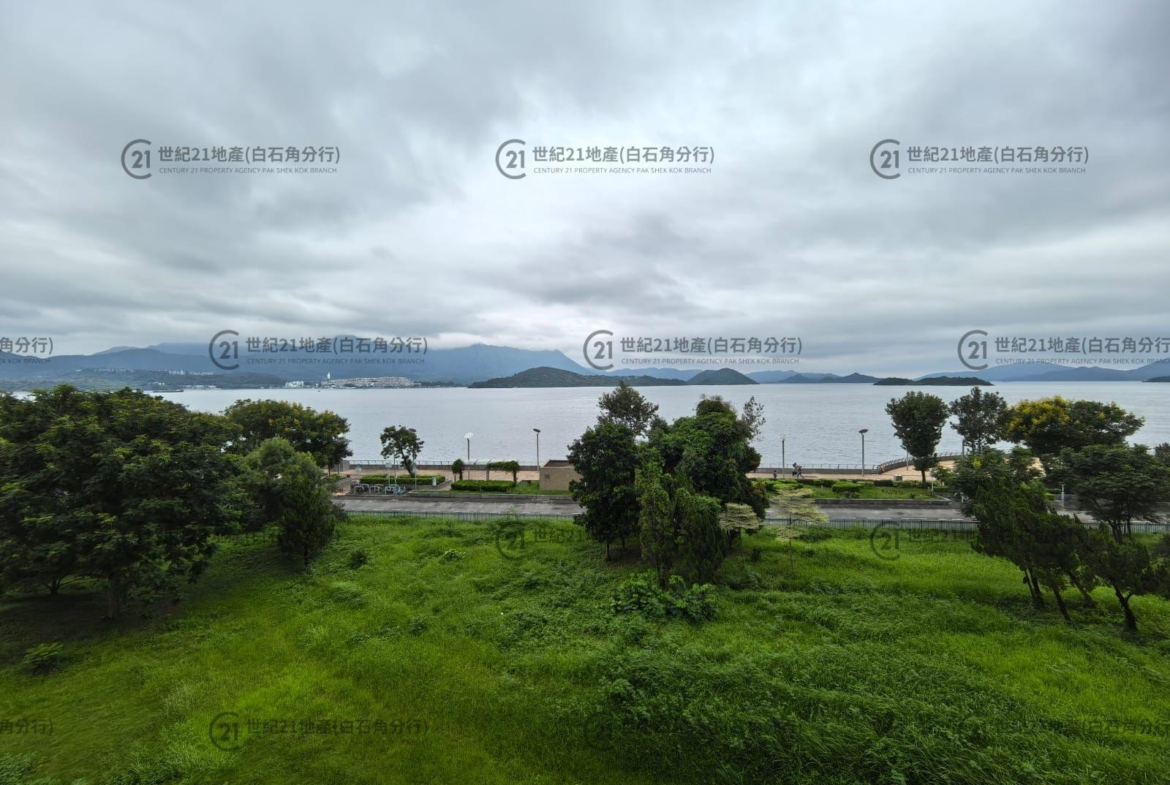 海鑽天賦海灣 03座 低層 - 世紀21白石角分行 - 大埔區物業代理的權威百科 專營豪宅買賣