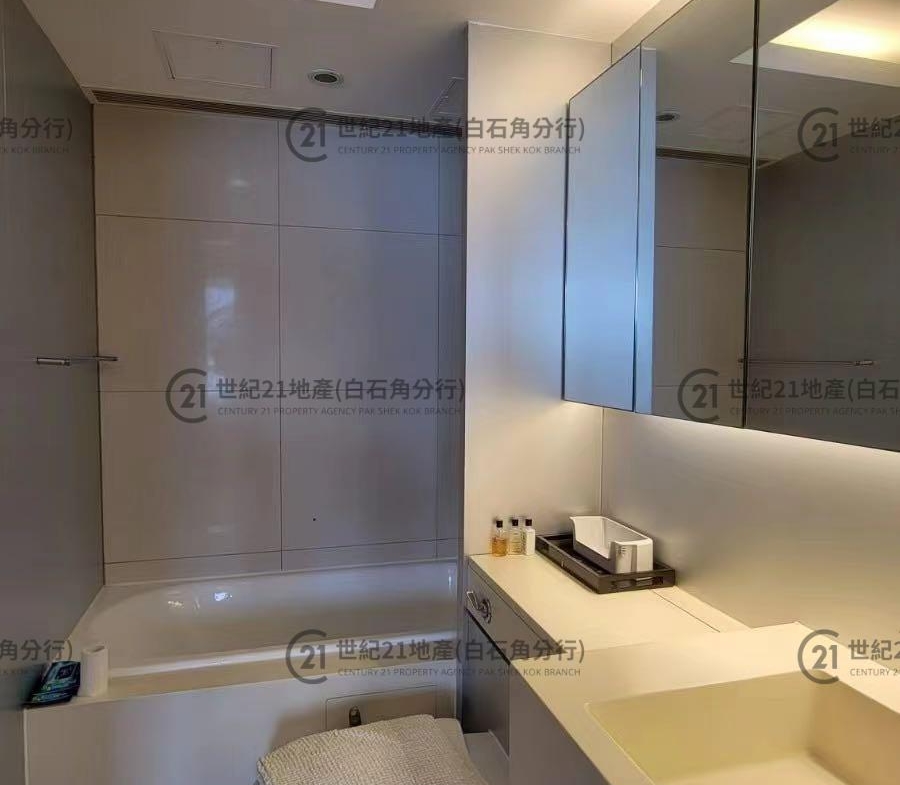 比華利山別墅 1期 銀池道 低層 - 世紀21白石角分行 - 大埔區物業代理的權威百科 專營豪宅買賣