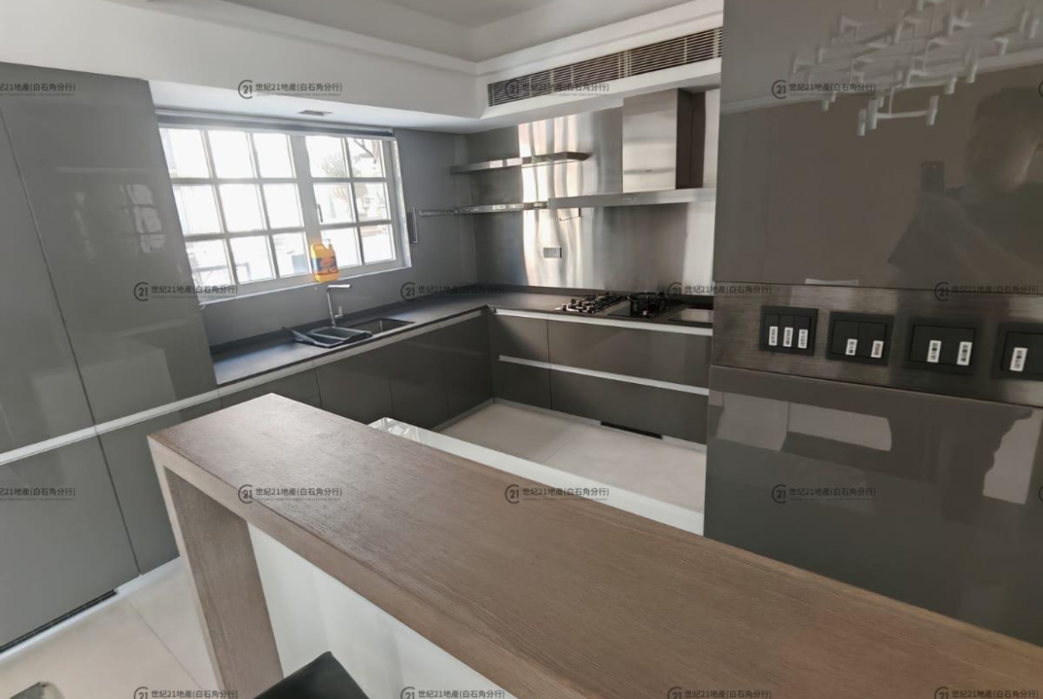 比華利山別墅 全幢 - 世紀21白石角分行 - 大埔區物業代理的權威百科 專營豪宅買賣