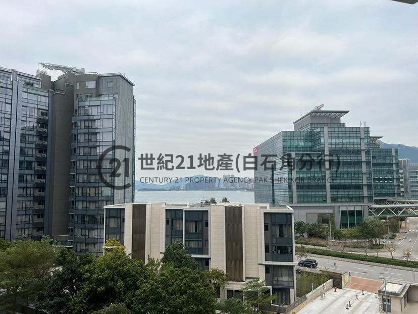 朗濤 低層 - 世紀21白石角分行 - 大埔區物業代理的權威百科 專營豪宅買賣