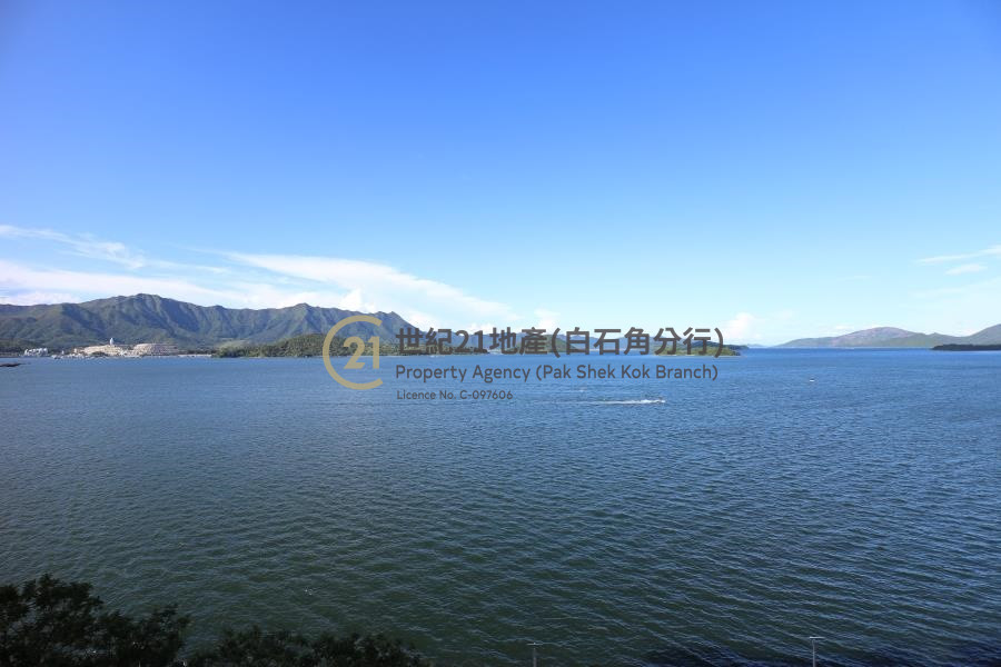 逸瓏灣I 中層 - 世紀21白石角分行 - 大埔區物業代理的權威百科 專營豪宅買賣