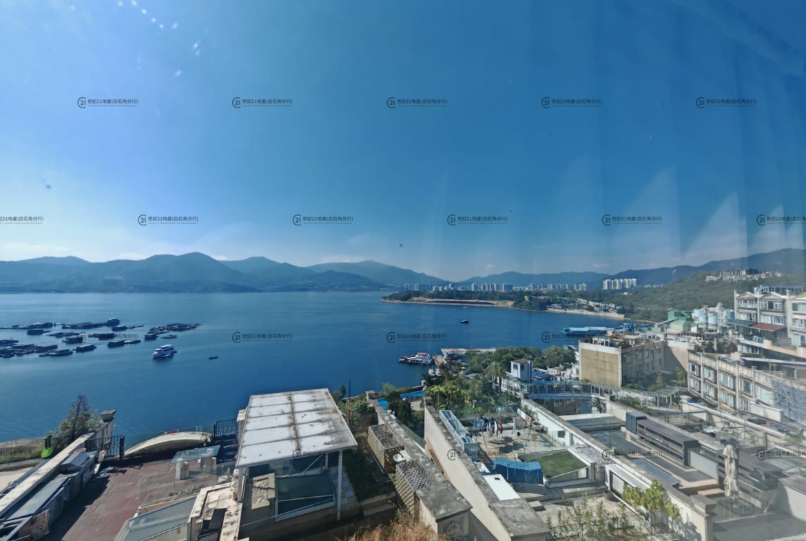 比華利山別墅 全幢 - 世紀21白石角分行 - 大埔區物業代理的權威百科 專營豪宅買賣