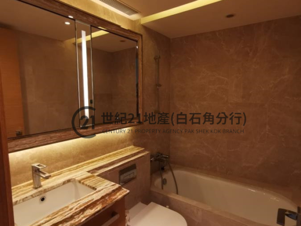 海鑽天賦海灣 03座 高層 B室 - 世紀21白石角分行 - 大埔區物業代理的權威百科 專營豪宅買賣