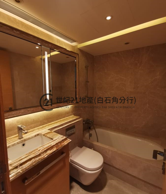 海鑽天賦海灣 03座 高層 B室 - 世紀21白石角分行 - 大埔區物業代理的權威百科 專營豪宅買賣