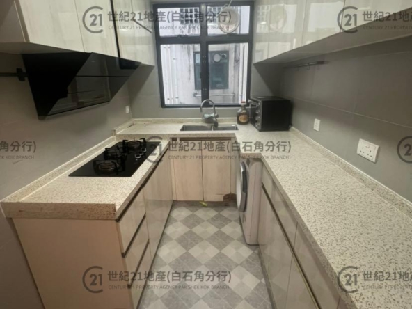 倚龍山莊 01座 低層 PH-1C室 - 世紀21白石角分行 - 大埔區物業代理的權威百科 專營豪宅買賣