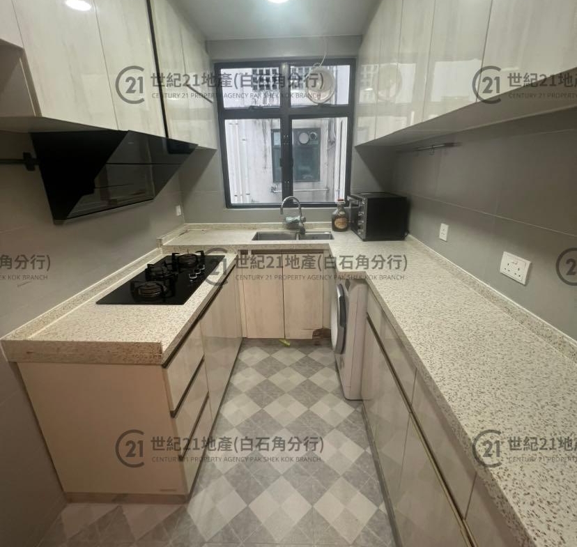 倚龍山莊 01座 低層 PH-1C室 - 世紀21白石角分行 - 大埔區物業代理的權威百科 專營豪宅買賣