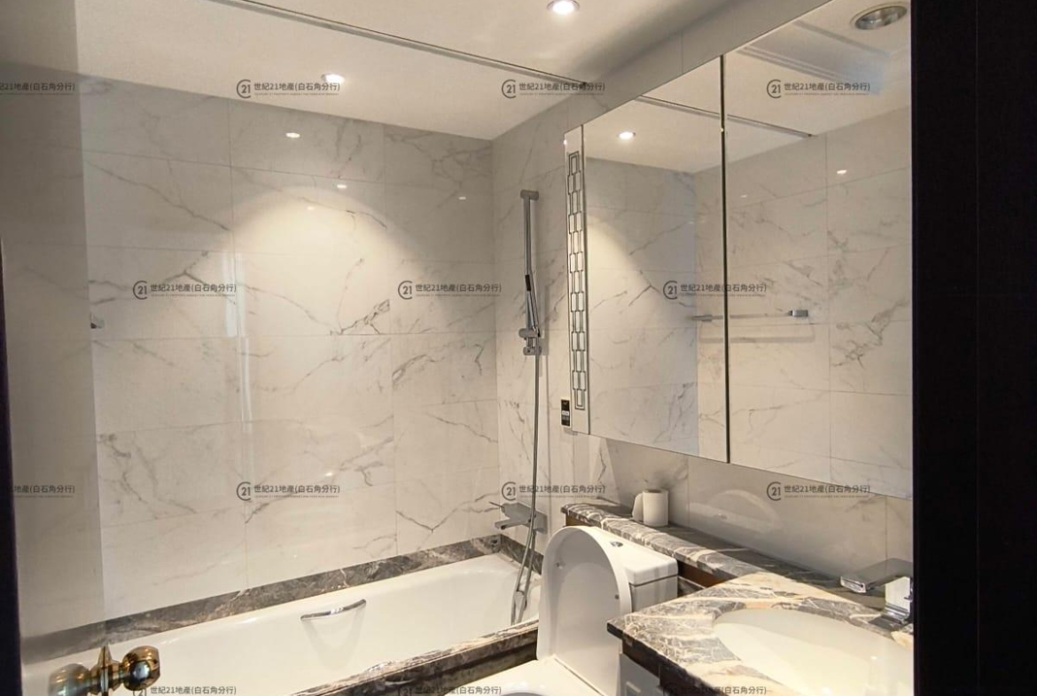 逸瓏灣I 03座 低層 B室 - 世紀21白石角分行 - 大埔區物業代理的權威百科 專營豪宅買賣